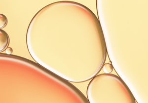 10 % Tetrahexyldecyl Ascorbate