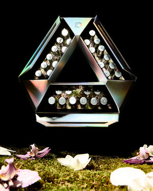 A geometric triangular acrylic display stand filled with small silver bottles, photographed against a black background with scattered flower petals on a mossy surface below.
